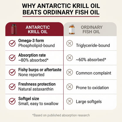 Natural Antarctic Krill Oil – Superior Bio-Absorption & Joint, Heart & Brain Support